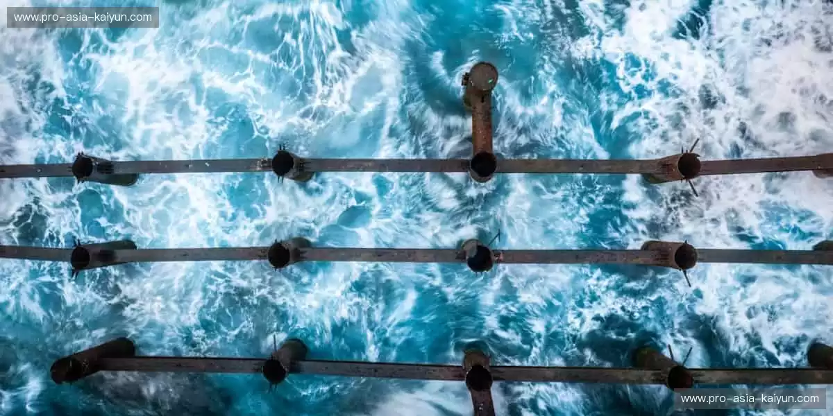 📱高清直播,随时随地掌控赛事!